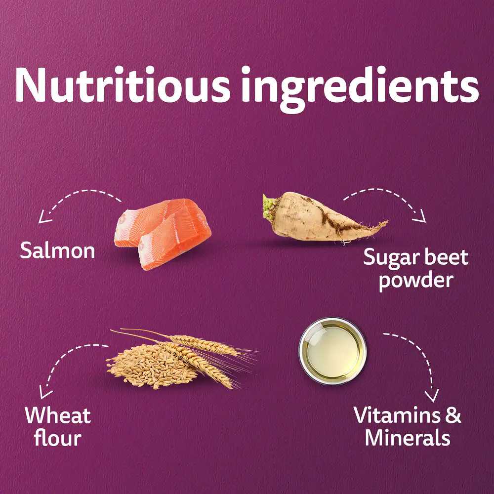 Whiskas Adult Salmon With Gravy 85 Gm – (Best Before Jan’26)