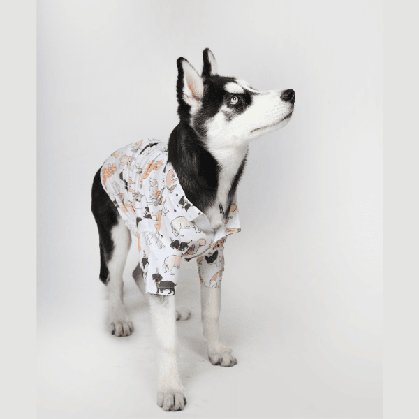 Ezra Polyester Blend Dog Shirt - Party