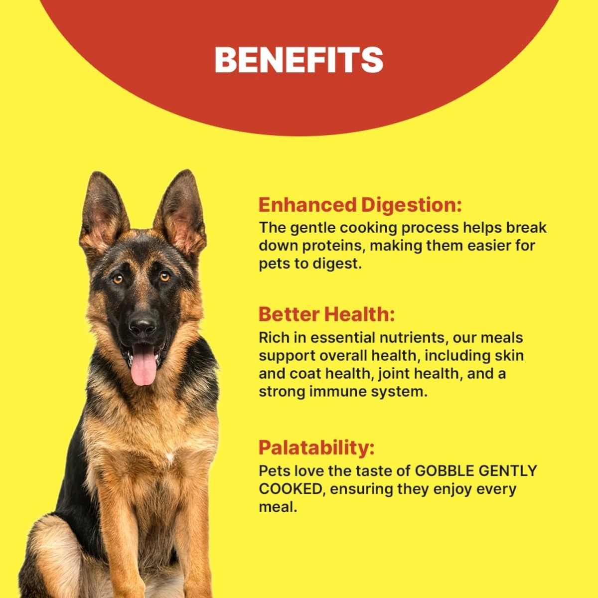 Gobble Gently Cooked Chicken With Rice Wet Dog Food - 300gm