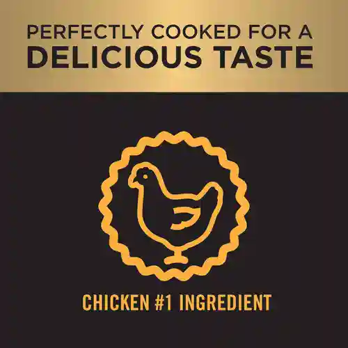 PURINA Pro Plan Chicken Large Breed Puppy Dog Dry Food