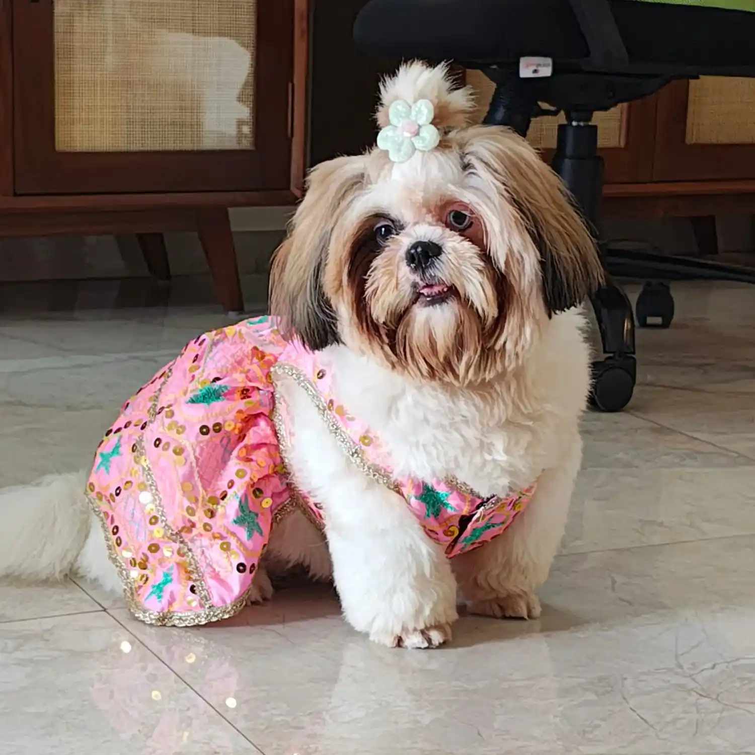 PawsIndia Traditional Desi Diva – Lehenga Choli Set For Dogs, Pink