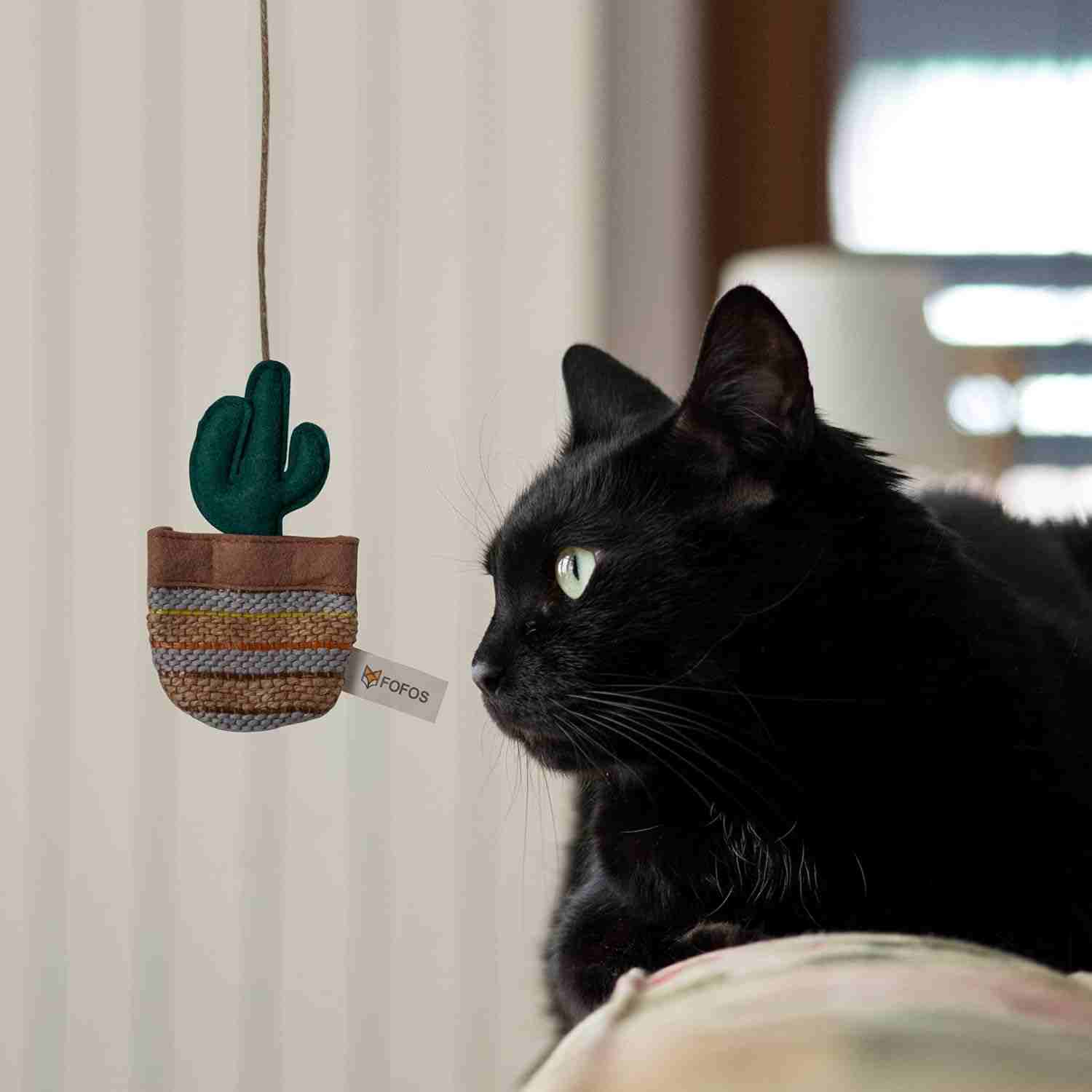 Fofos Cactus Wand Austin for Cats 40 CM