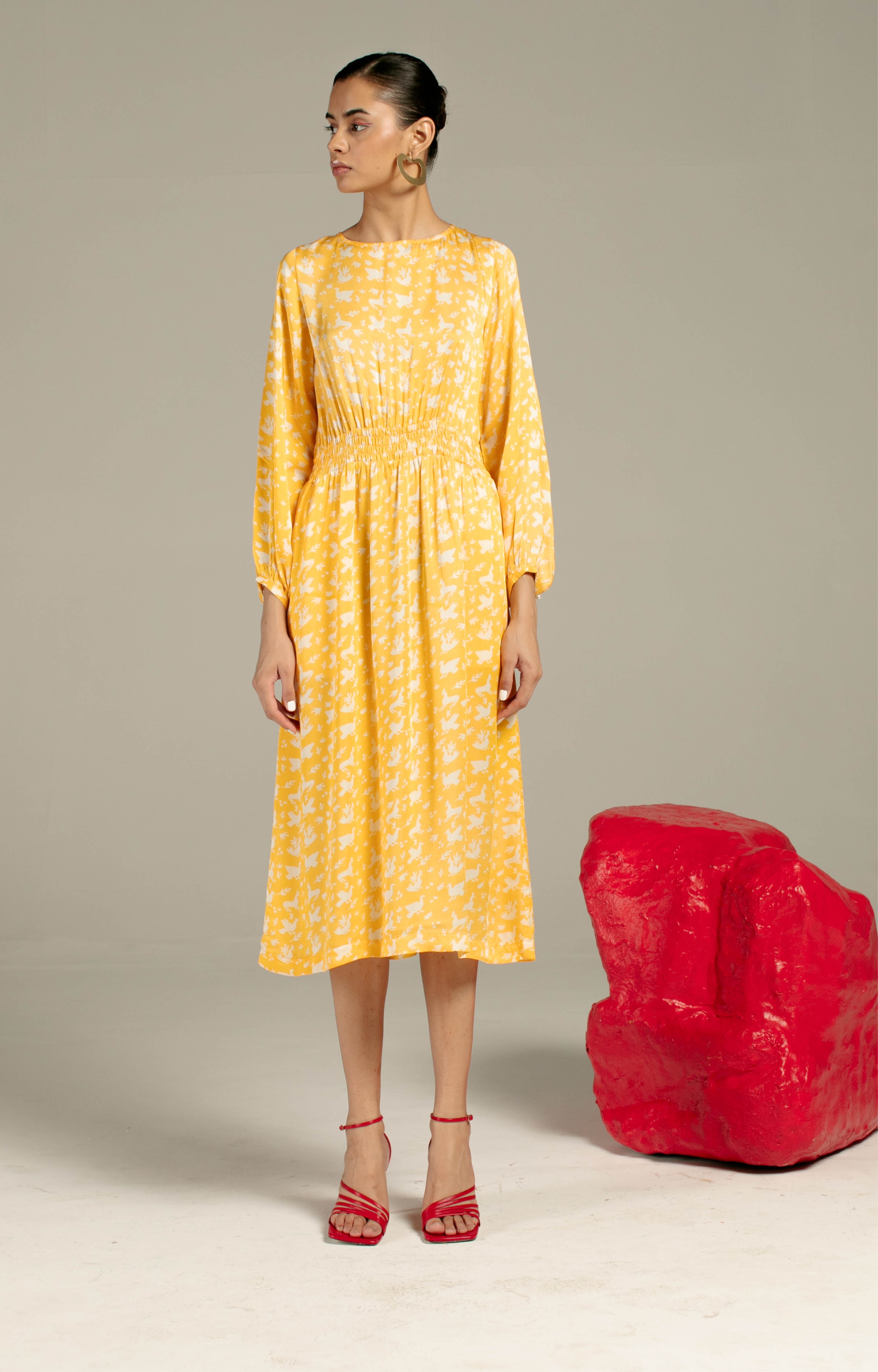 Studio Rigu | Chidiya Ruching Dress undefined