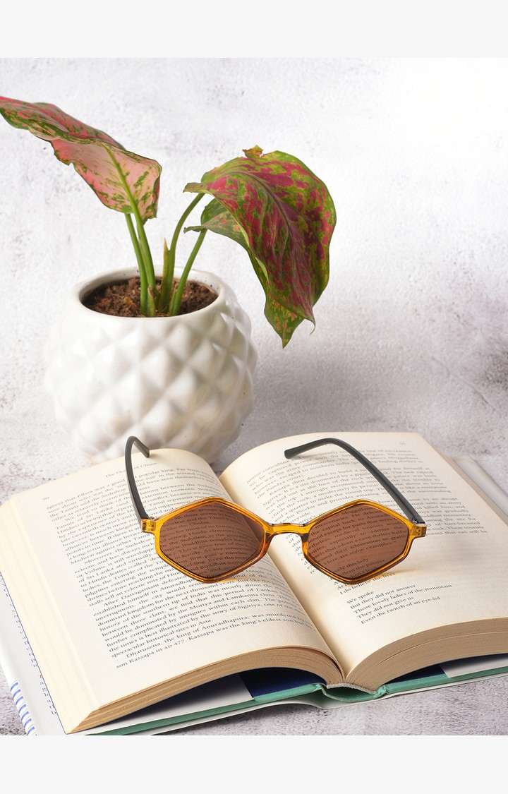 Haute Sauce By Campus Sutra Women Brown Lens & Yellow Other Sunglasses With Uv Protected Lens