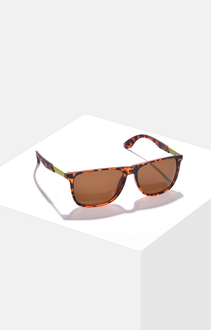 Women's Brown Lens Brown Wayfarer Sunglasses