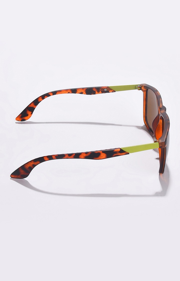 Women's Brown Lens Brown Wayfarer Sunglasses