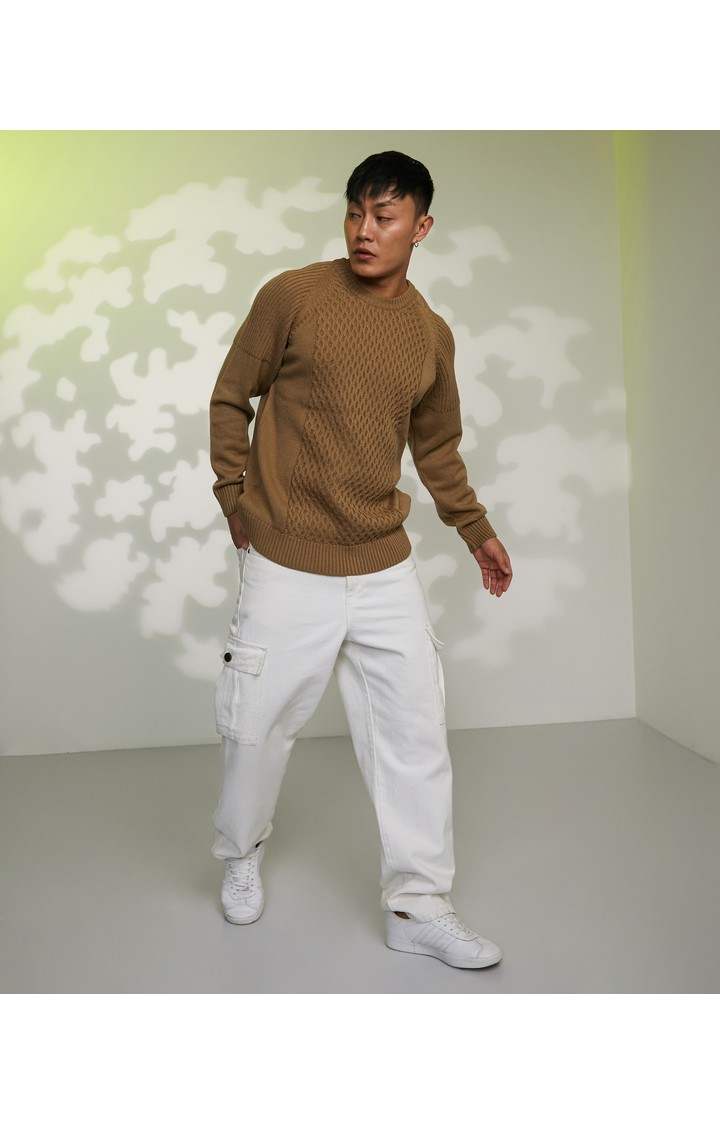 Men's Brown Solid Sweaters