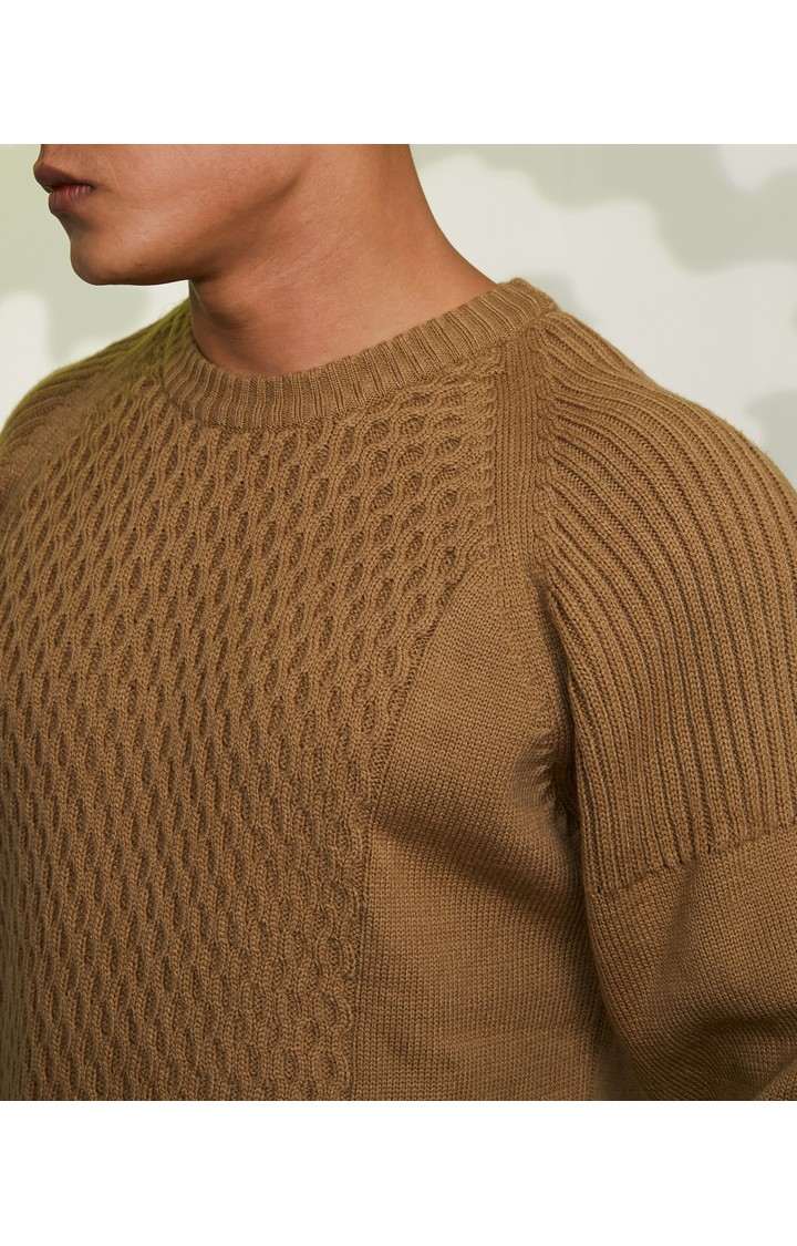 Men's Brown Solid Sweaters