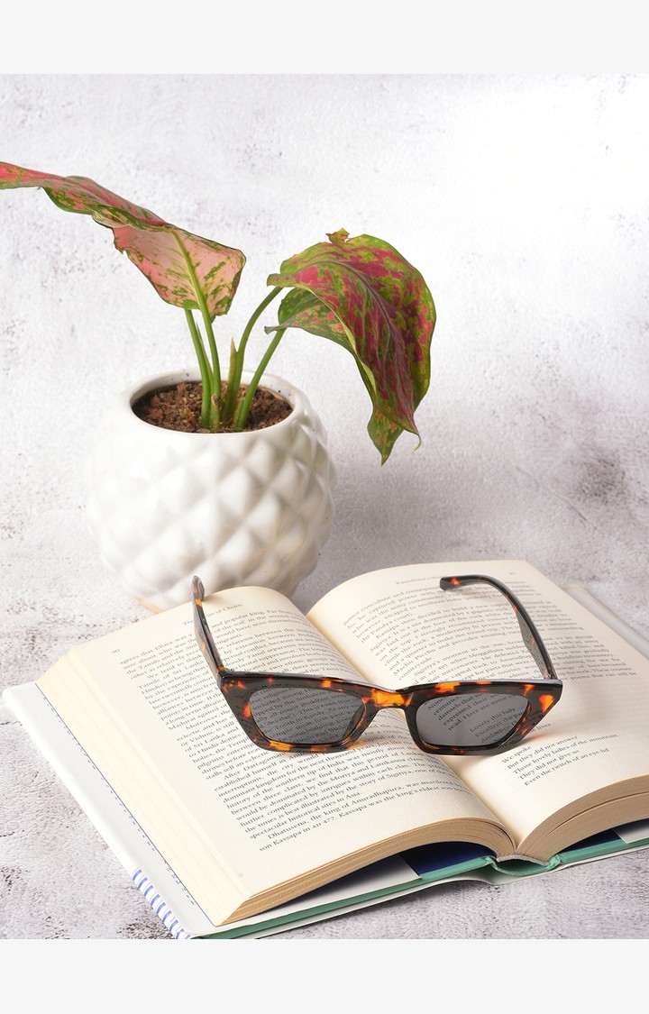 Haute Sauce By Campus Sutra Women Black Lens & Brown Butterfly Sunglasses With Uv Protected Lens