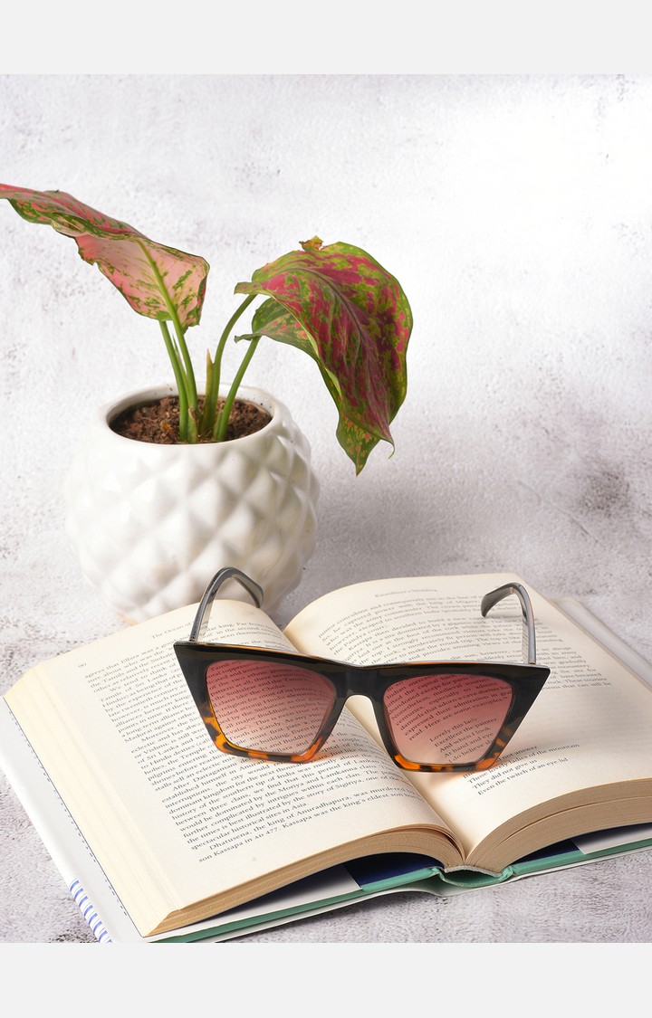 Haute Sauce By Campus Sutra Women Brown Lens & Black Butterfly Sunglasses With Uv Protected Lens