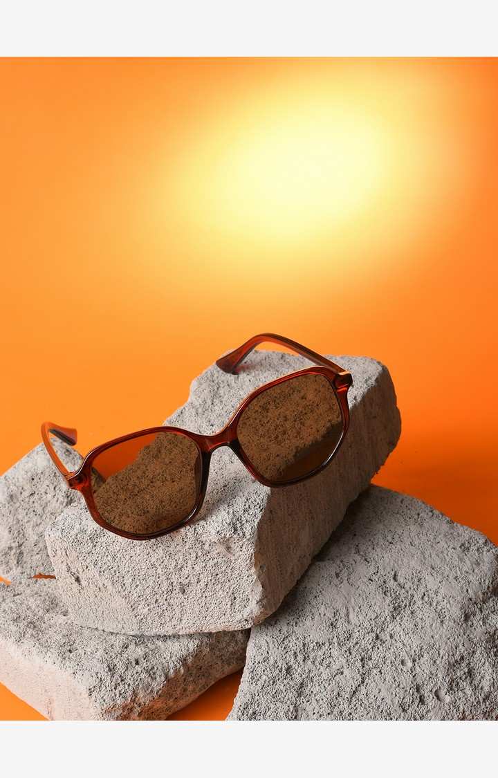 Haute Sauce By Campus Sutra Women Brown Lens & Brown Wayfarer Sunglasses With Uv Protected Lens