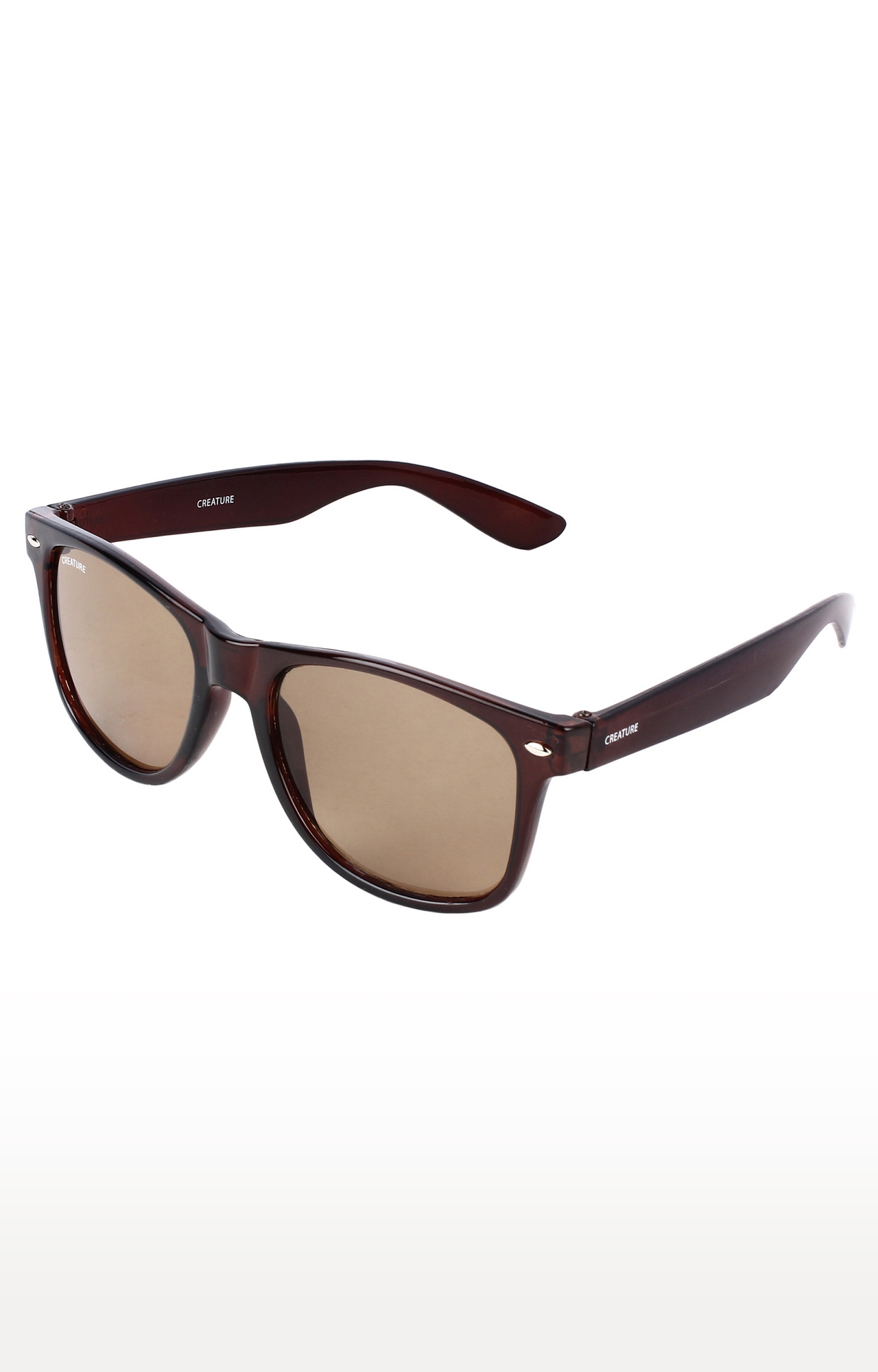 CREATURE | CREATURE Brown Glossy Finish Unisex Wayfarer Sunglasses (Lens-Brown|Frame-Brown) 2