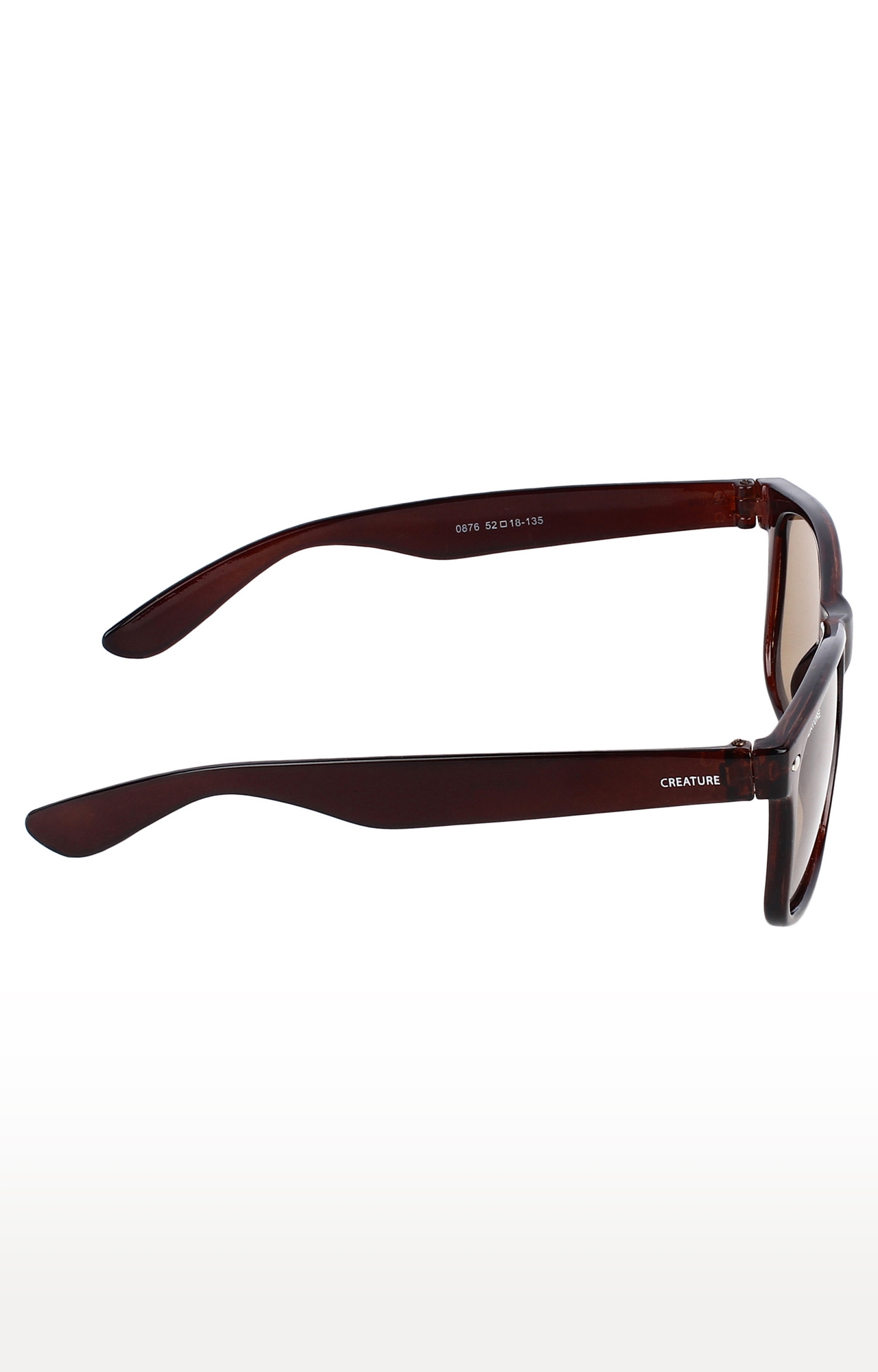 CREATURE | CREATURE Brown Glossy Finish Unisex Wayfarer Sunglasses (Lens-Brown|Frame-Brown) 3