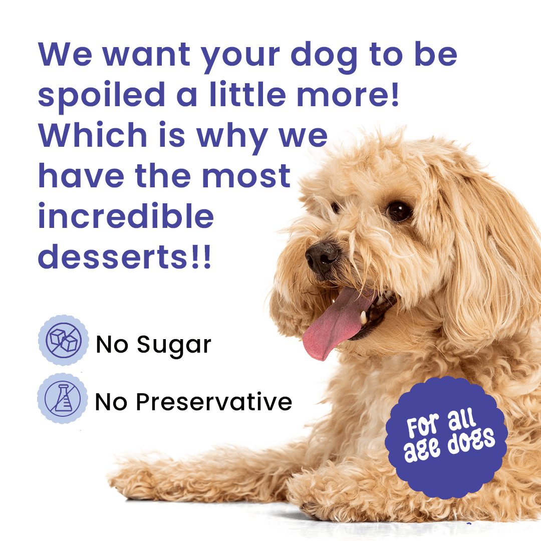 Casper Pancake Mix Blueberry Flavour Dog Treat - 250g