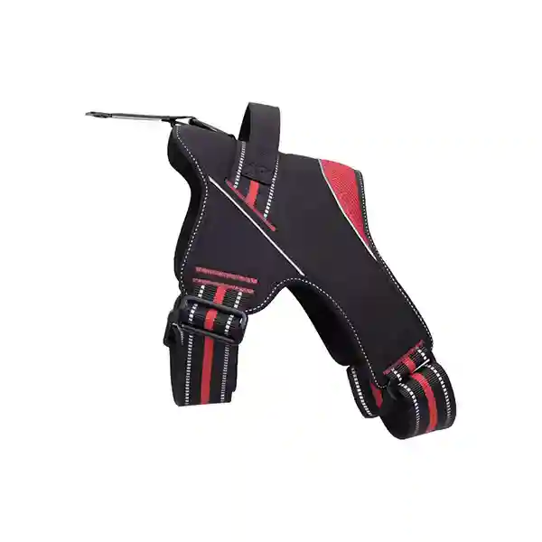 Ezra Hart Dog Harness - 55 cm