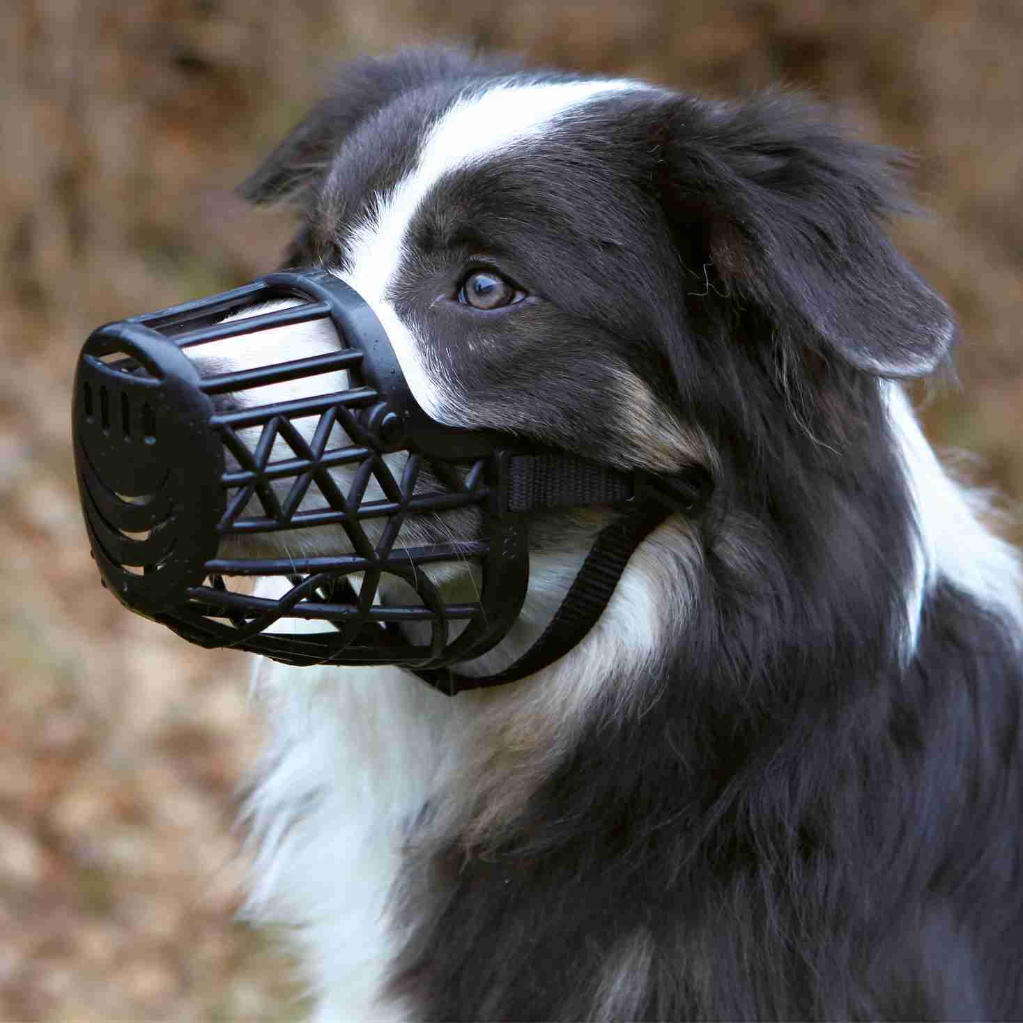 Trixie Plastic Muzzle for Dogs, Black