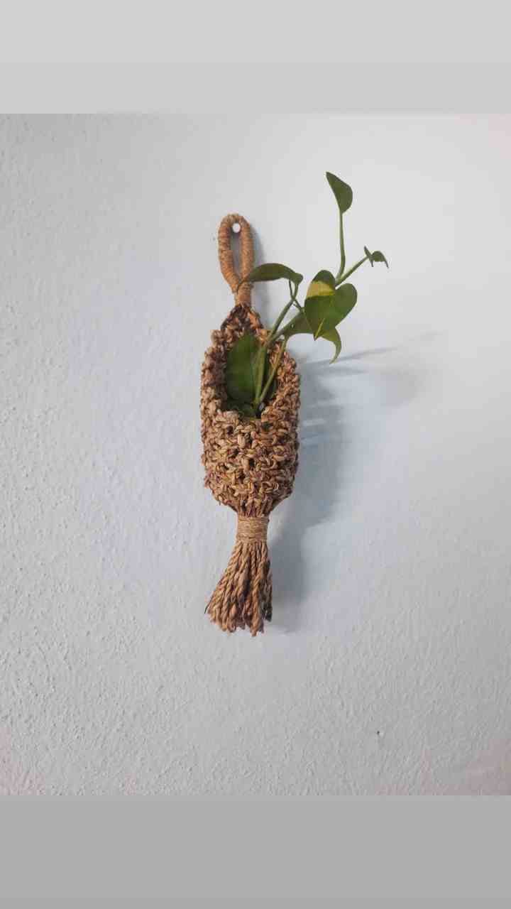 Banana Stem Plant Hanger