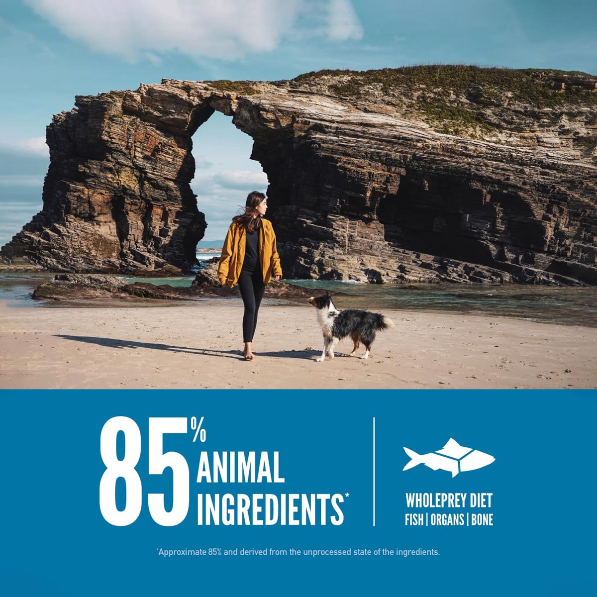 Orijen Six Fish Dry Dog Food