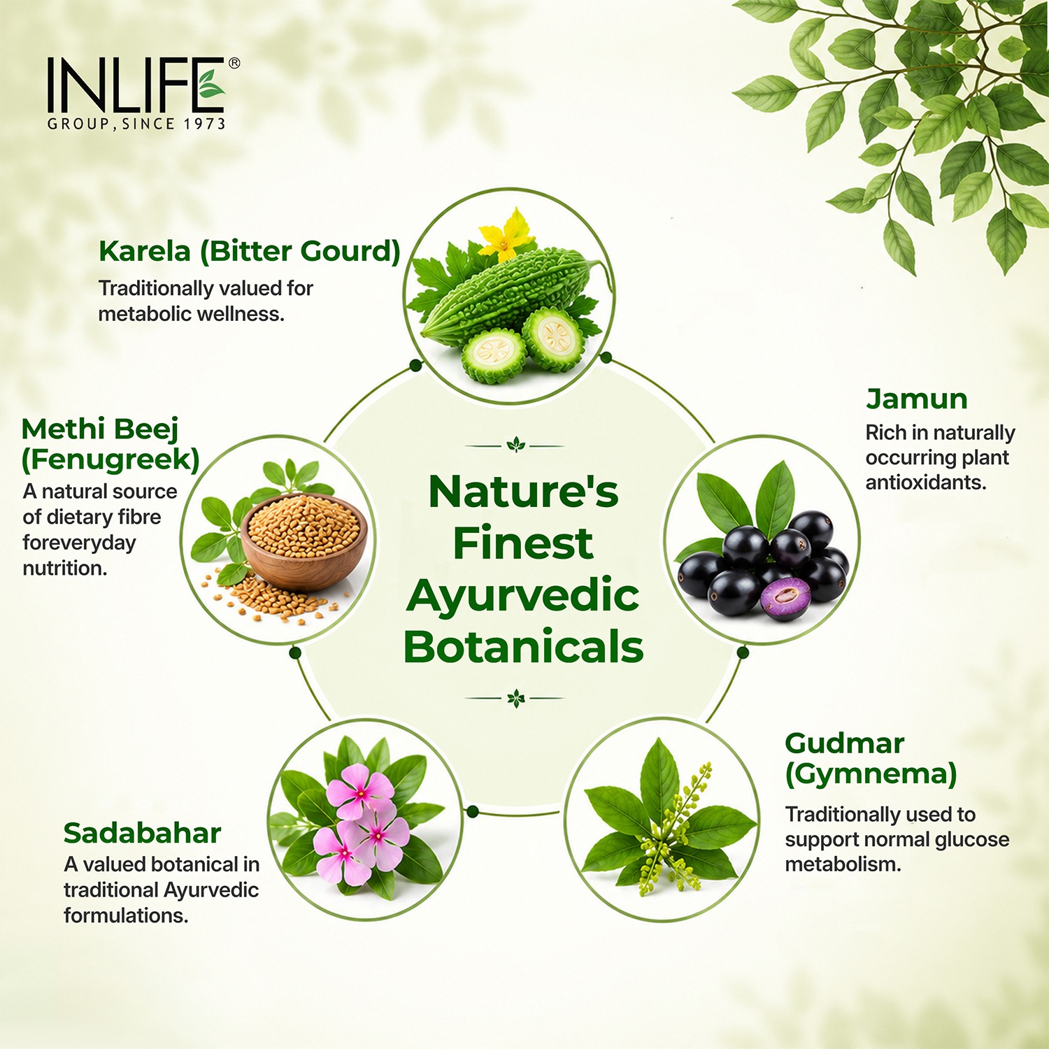 Inlife | Diastan Noni for Diabetic Care, Juice Concentrate, Gymnema Sylvestre, Fenugreek, Karela, Jamun and other powerful herbs | 1 Litre