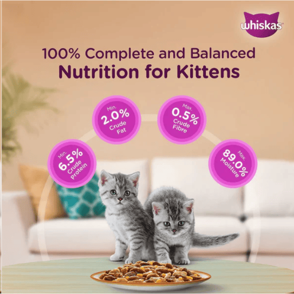 Whiskas Kitten Chicken in Gravy (2-12 months) - 80 gm