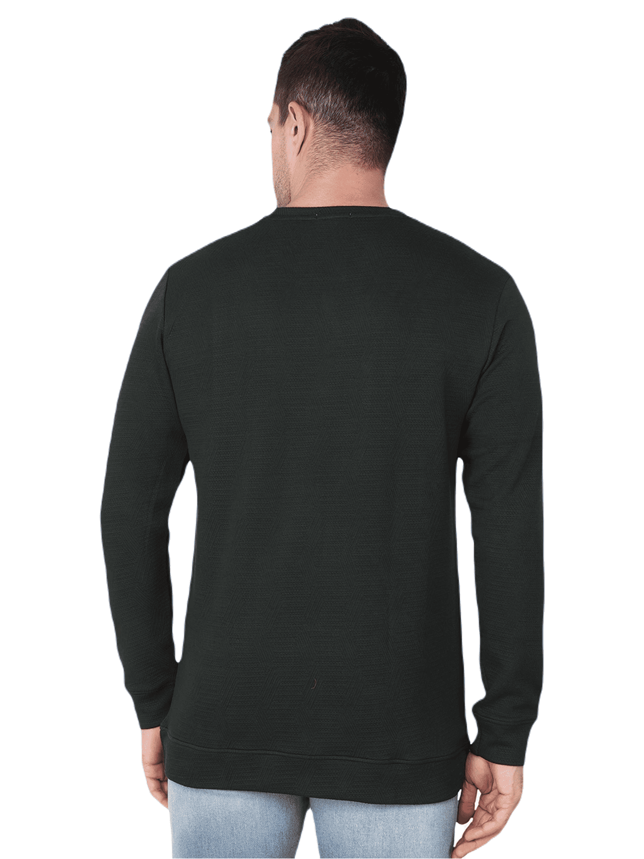 Albion  Mens Winter Green Round Neck Sweatshirt