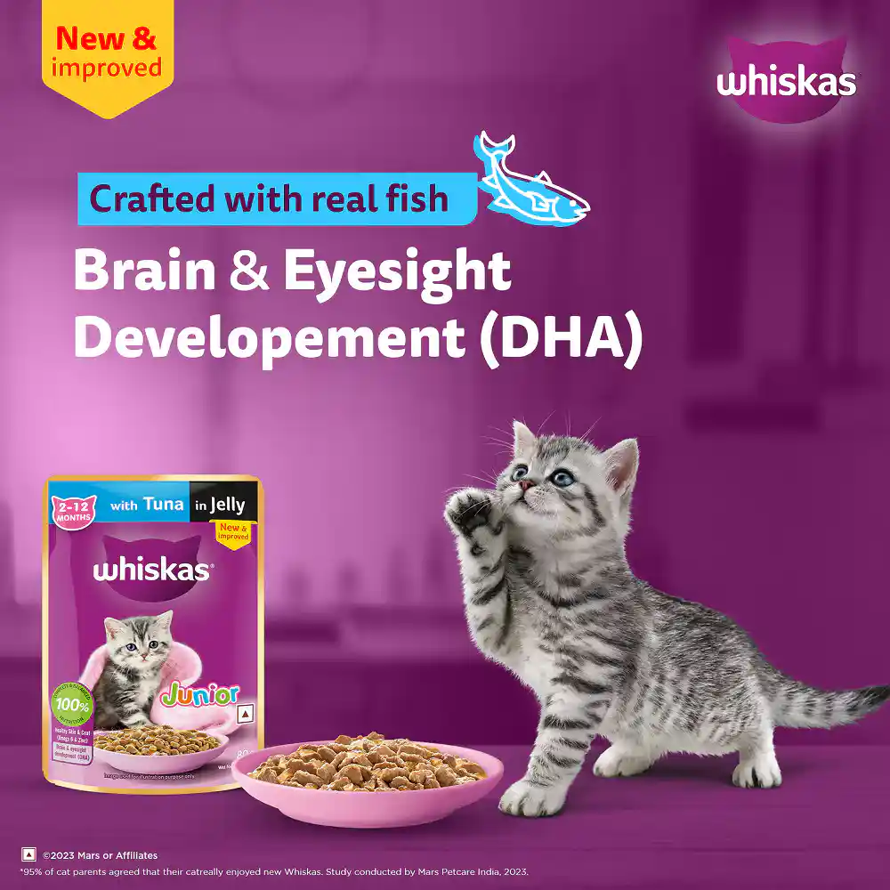 Whiskas Kitten Tuna for Cats 560g