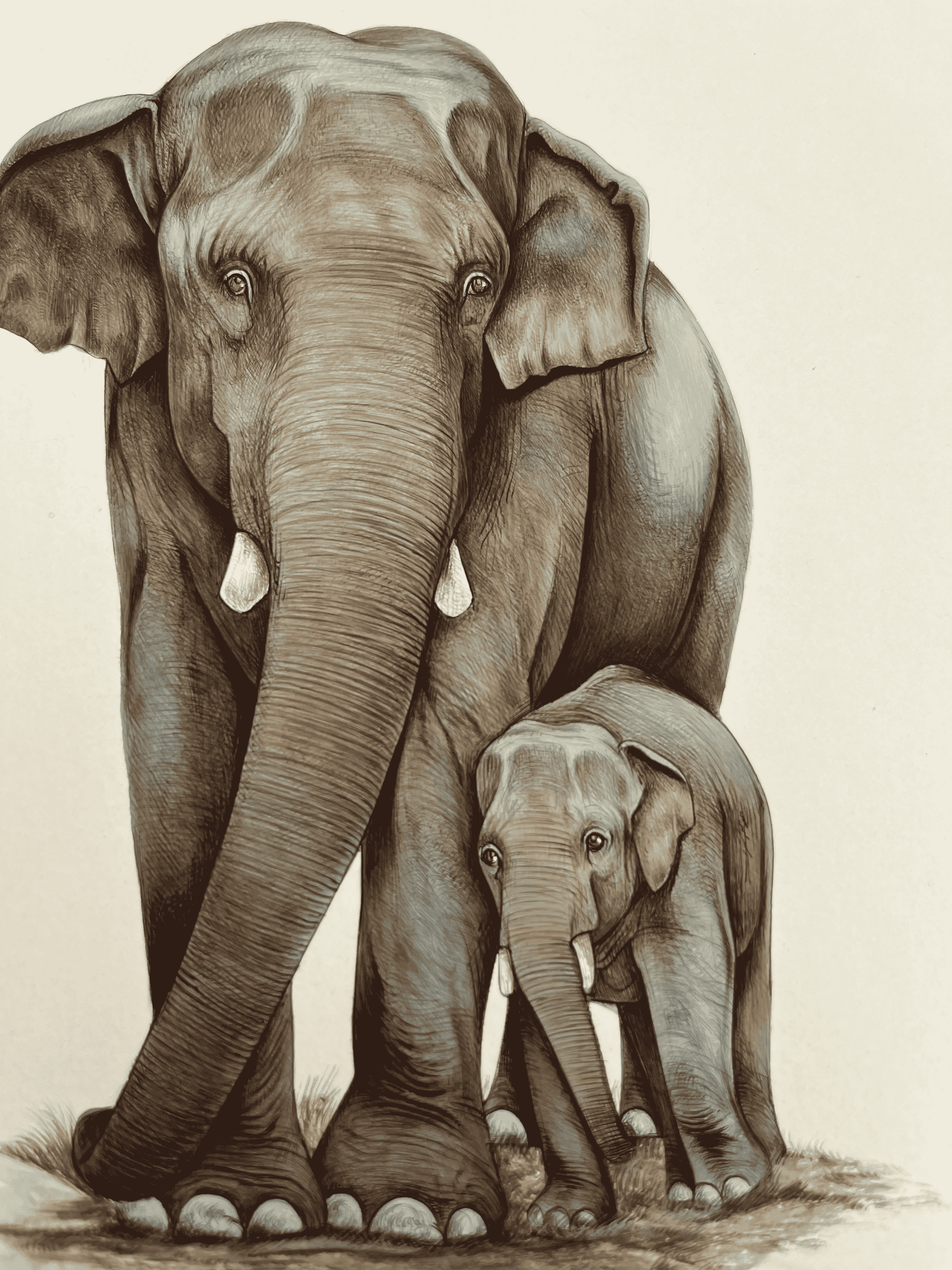 Elephant Mother Son Depicting Love In Miniature Painting