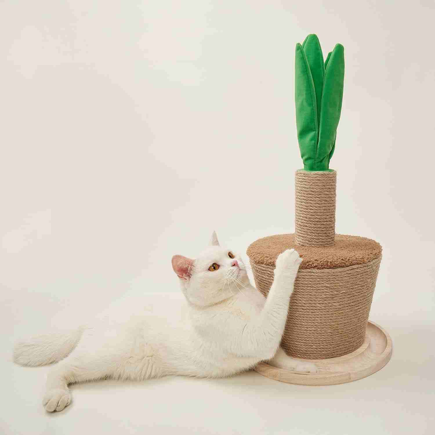 Barkbutler Fofos Pot Plant Cat Scratcher