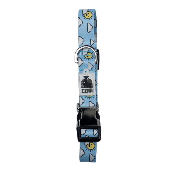 Ezra Digital Print Dog Collar - Assorted