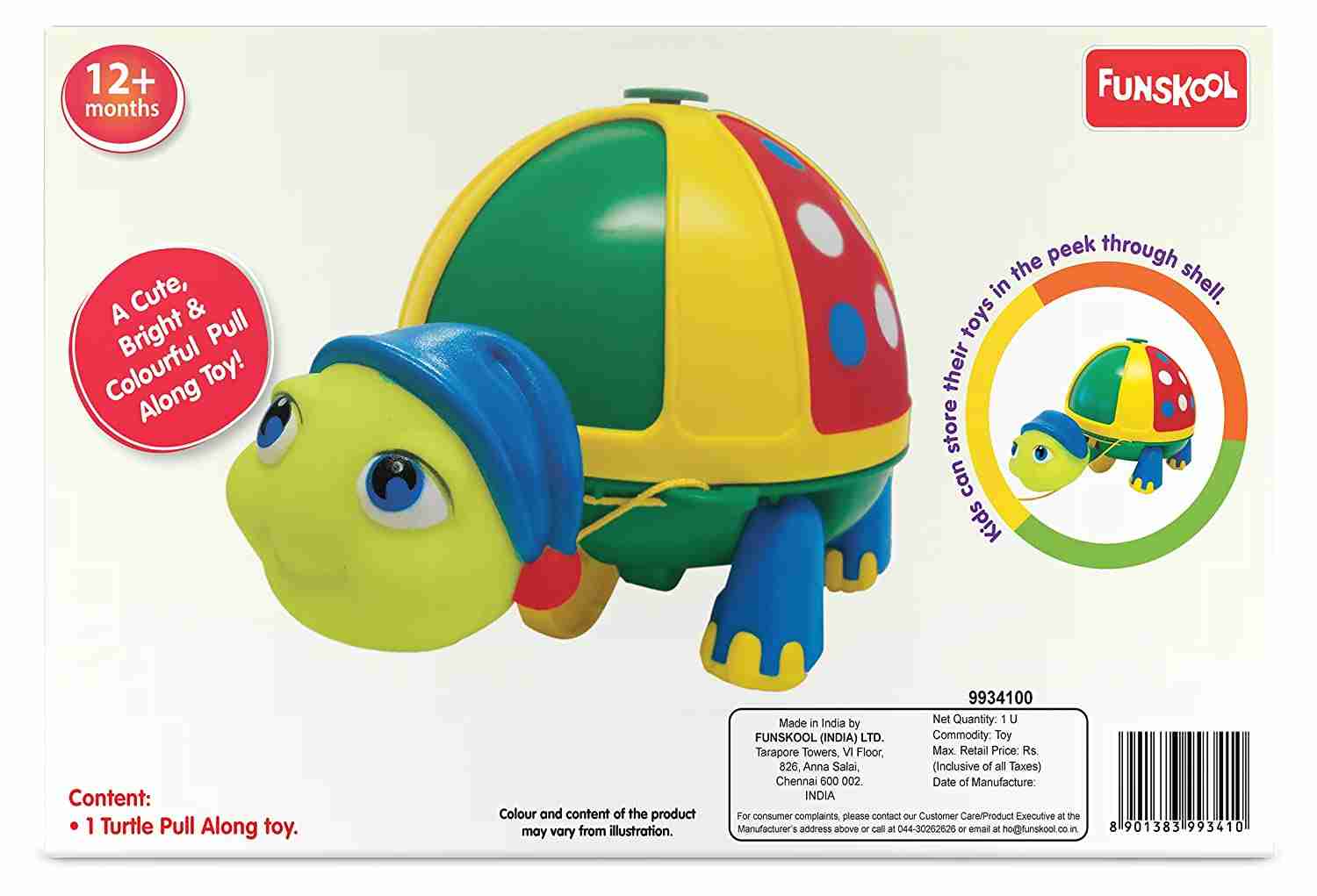 Roly Poly Turtle