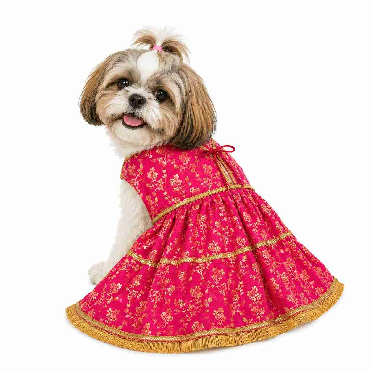 PawsIndia Traditional Royal Zari Dress for Dogs - Pink