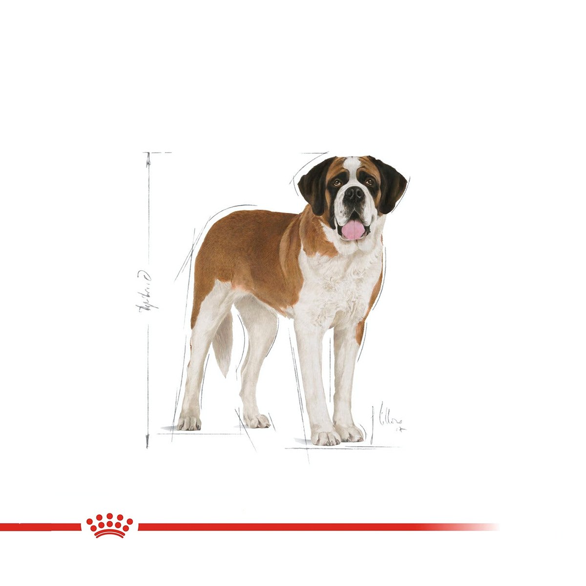 Royal Canin Giant Junior Dry Dog Food