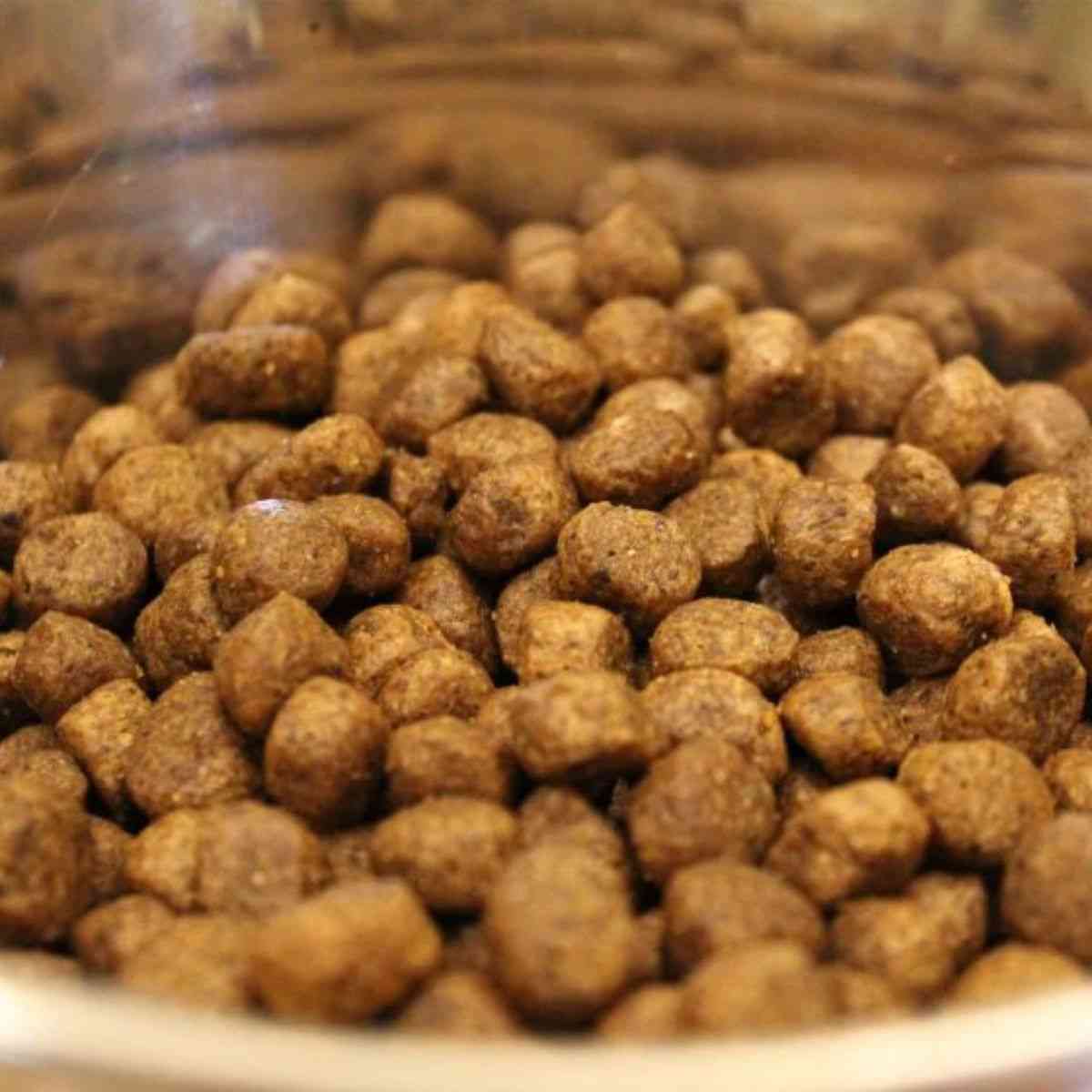 Acana Wild Coast Dry Dog Food
