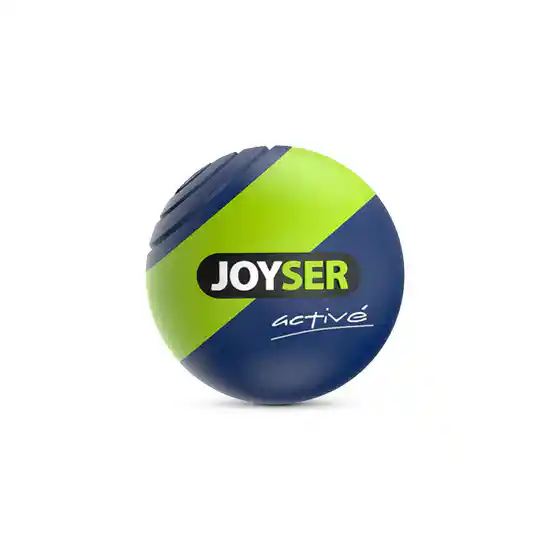 Joyser Active TPU Ball Dog Toy (Blue/Green)