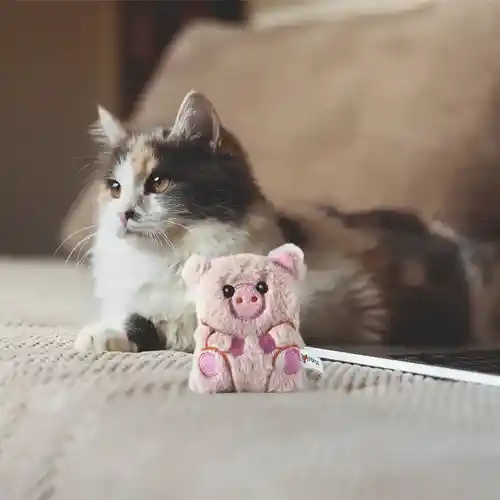 Barkbutler Fofos Floppy Crinkle Pig Catnip Toy for Cats