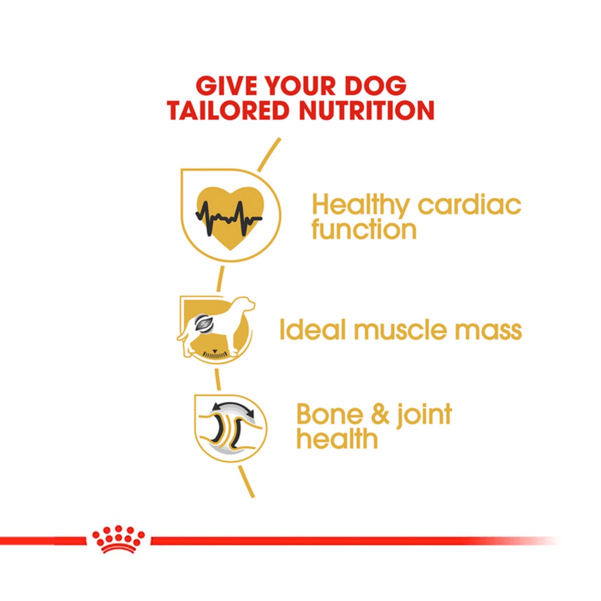 Royal Canin Rottweiler Adult Dry Dog Food
