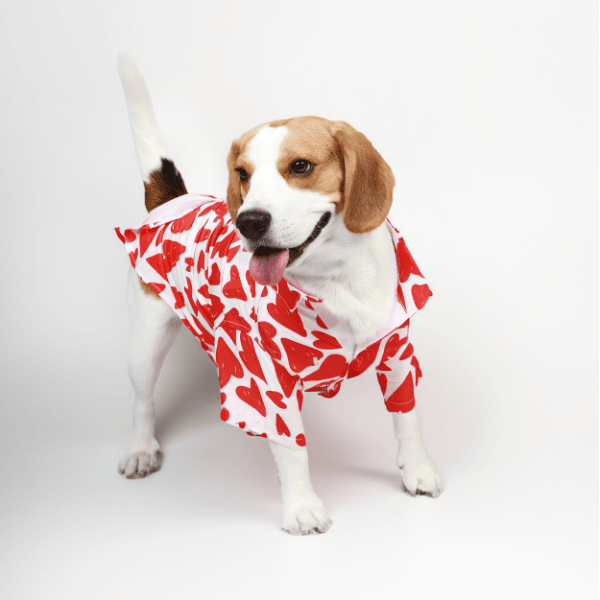 Ezra Polyester Blend Dog Shirt - Heart Abstract