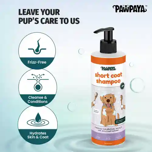 Pawpaya Short Coat Shampoo 250ml – (Best Before Jun’26)