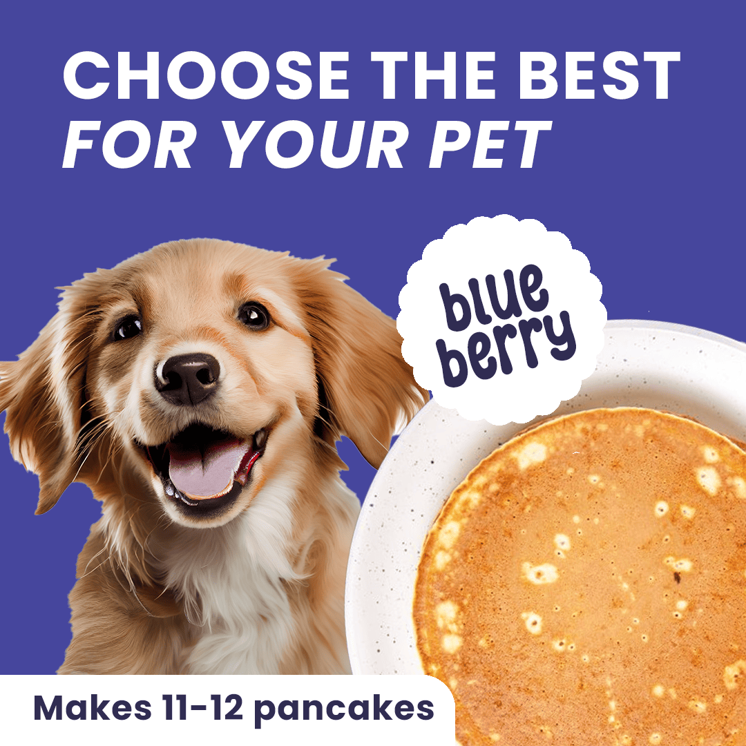 Casper Pancake Mix Blueberry Flavour Dog Treat - 250g