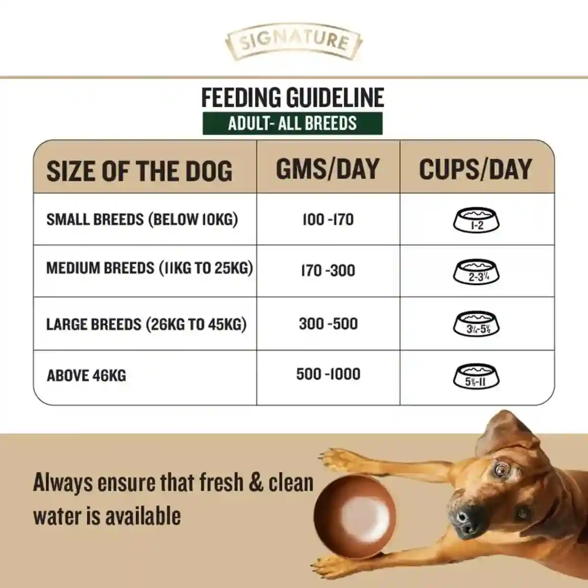 Grain Zero Adult Chicken Chunks Gravy Wet Dog Food, 70g