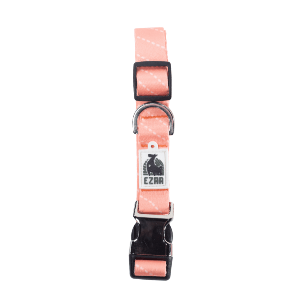 Ezra Digital Print Dog Collar - Assorted