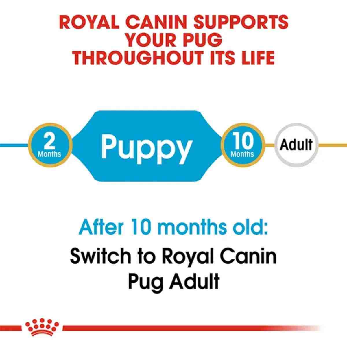 Royal Canin Pug Puppy Dry Dog Food