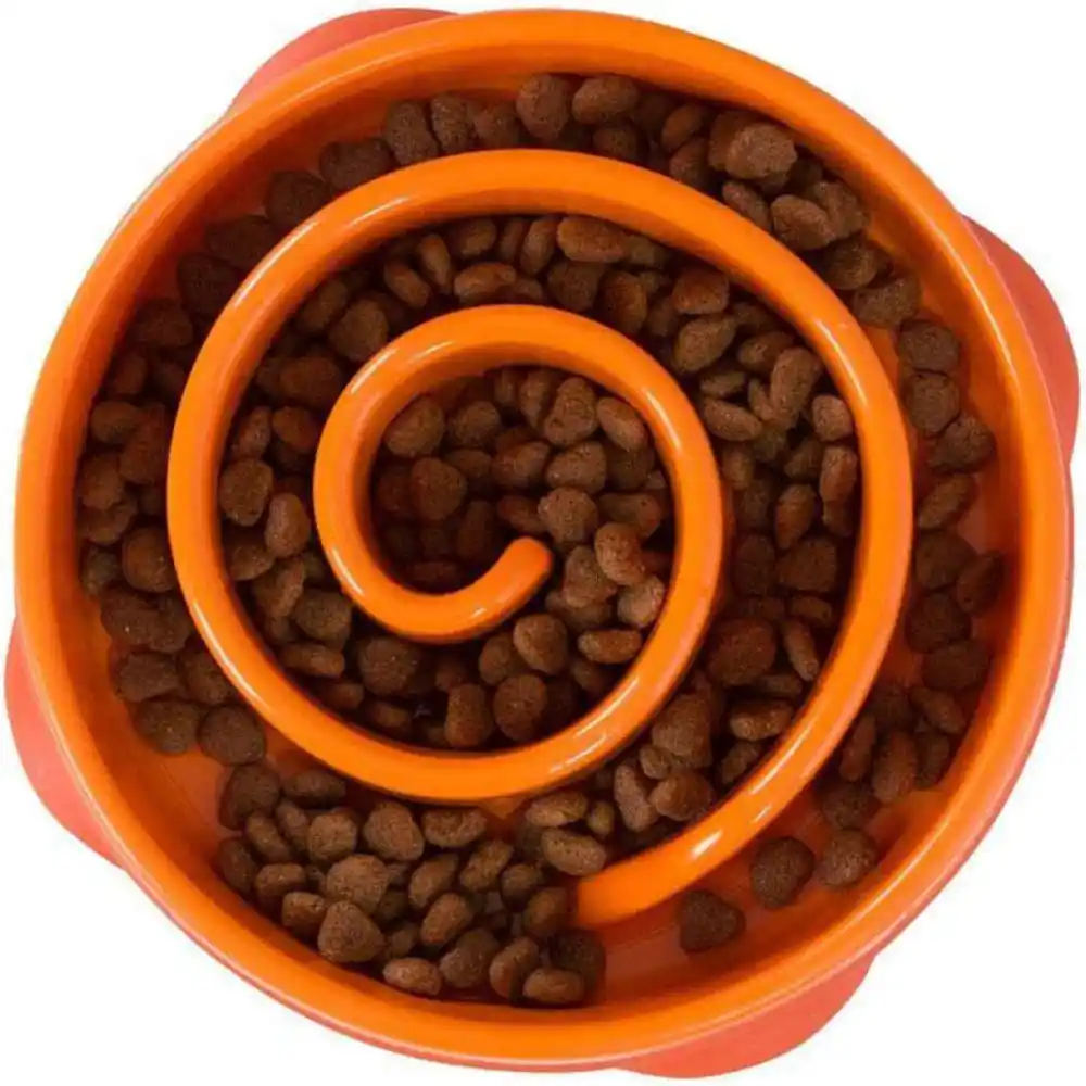 Outward Hound Mini Breed Slow Feeder Dog Bowl