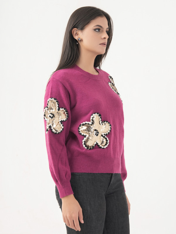 Albion Women Winter Plum Sweaters