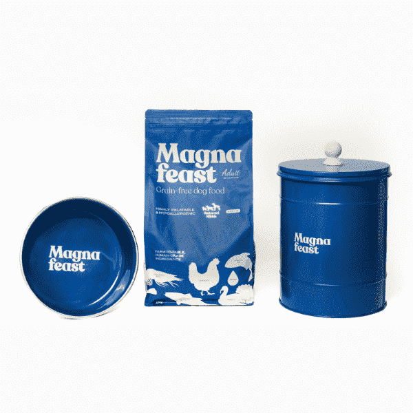 Magna Feast Pet Feeding Bowl