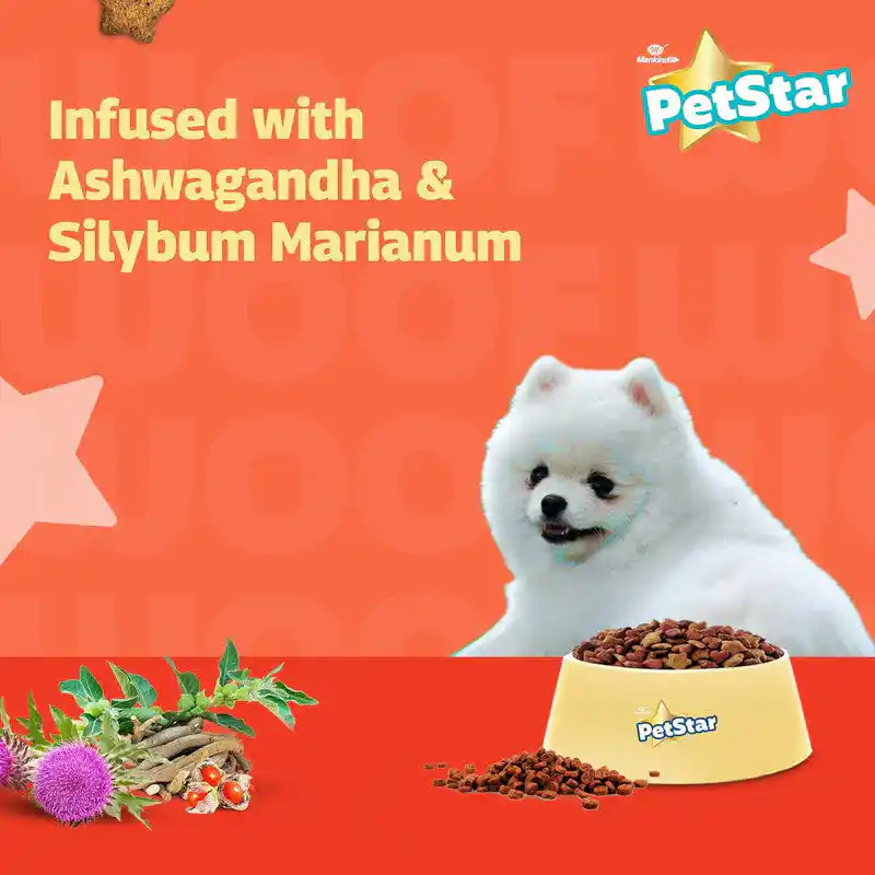 Petstar Chicken and Wheat Puppy Dry Food, 3kg