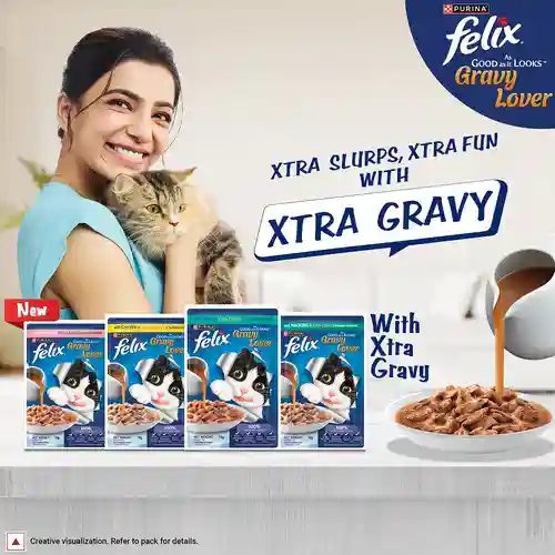 Purina Felix Gravy Lover Meaty Salmon Chunks Wet Cat Food, 70g