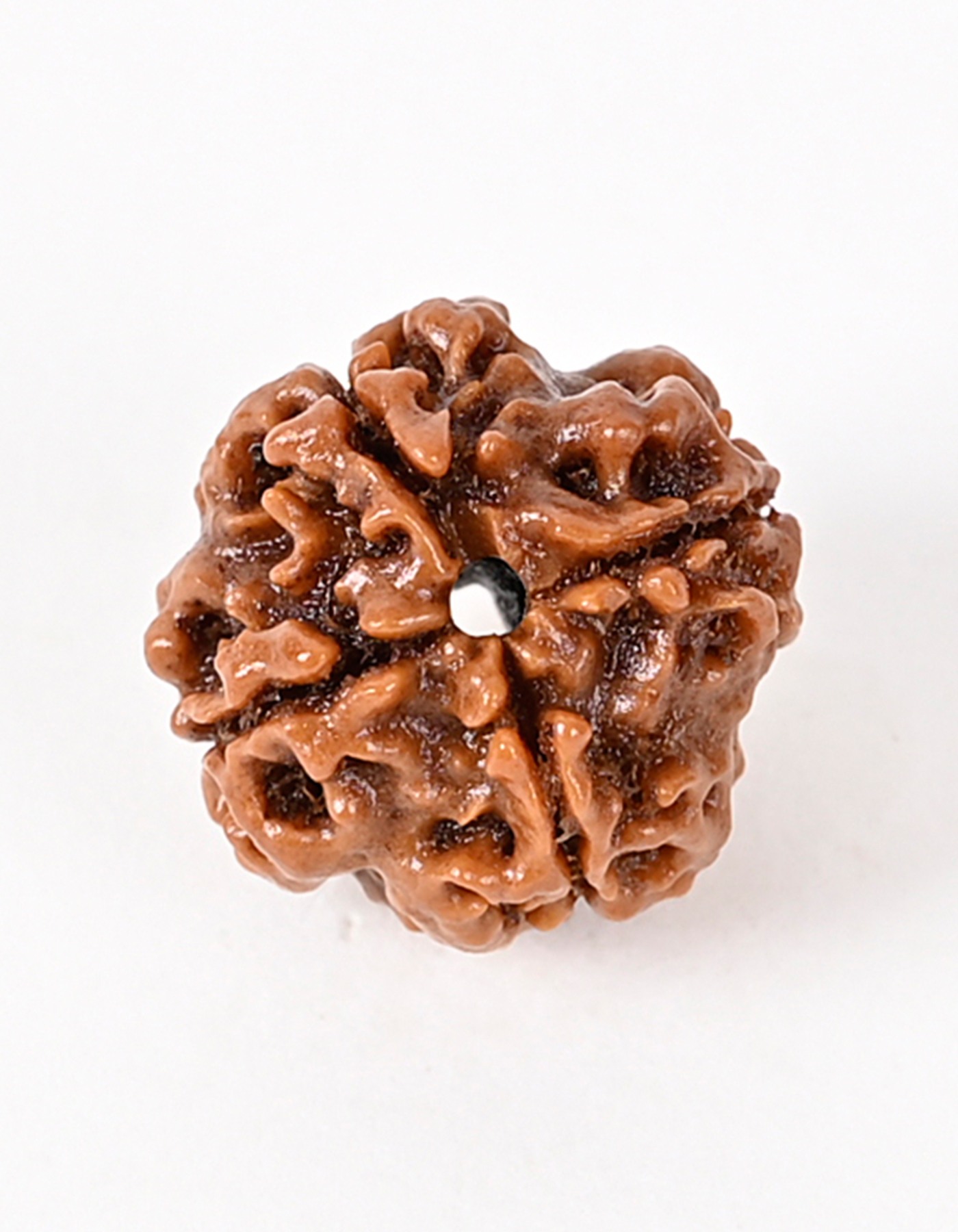 Shiv Ratan Kendra 4 Mukhi Nepal Quality Rudraksha Beads- Enhances intellect & Concentration Power & Removes Negativity - Genuine Quality & Lab Certified