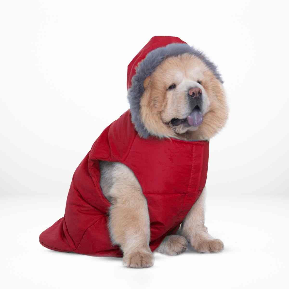 Ezra Fur Winter Jacket for Dogs, Cozy, Ultra Warm, and Water Resistant with Velcro Closure (Red)