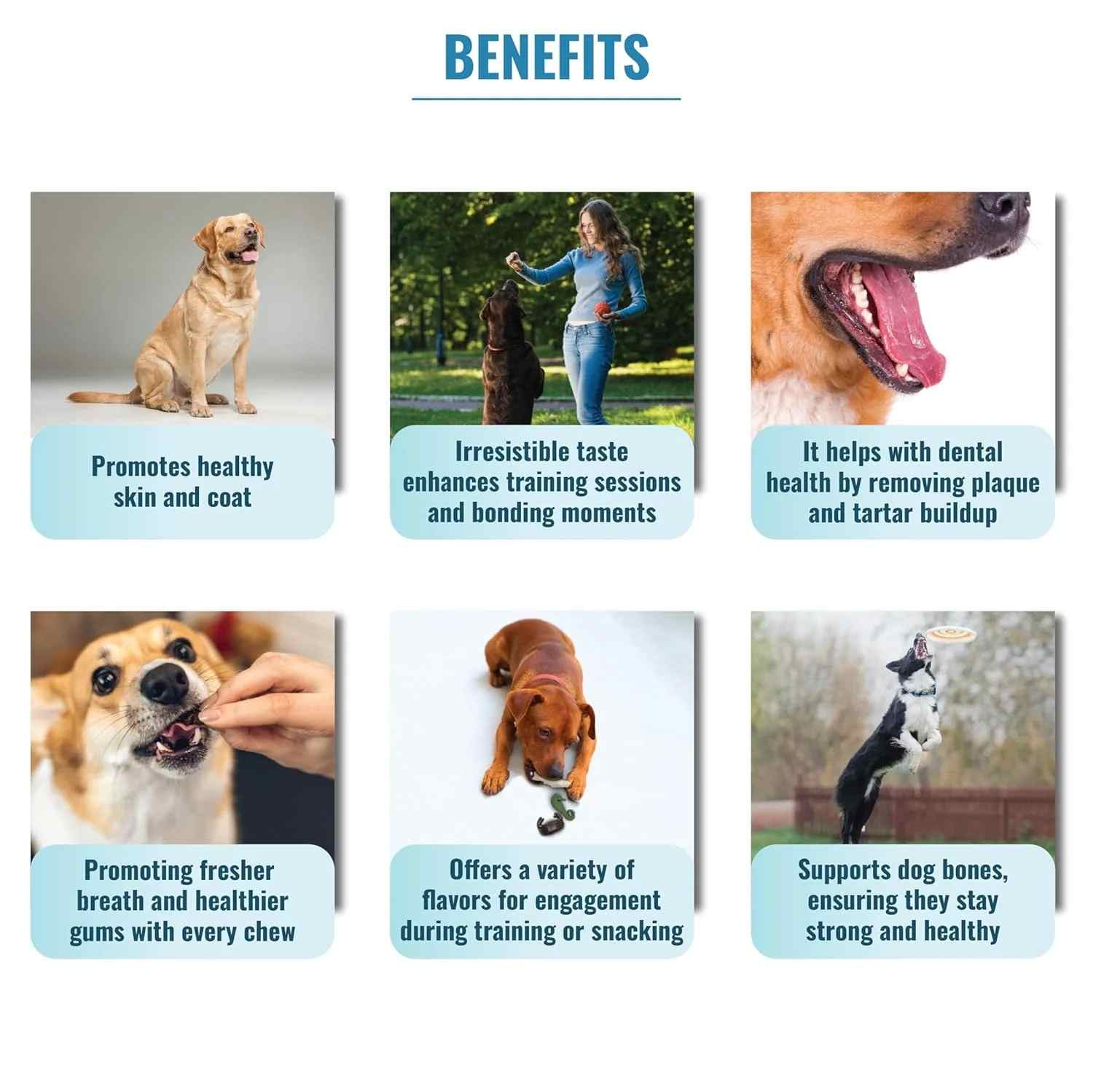 Sea World Sea Animals Dental Treats for Dogs, 80 g